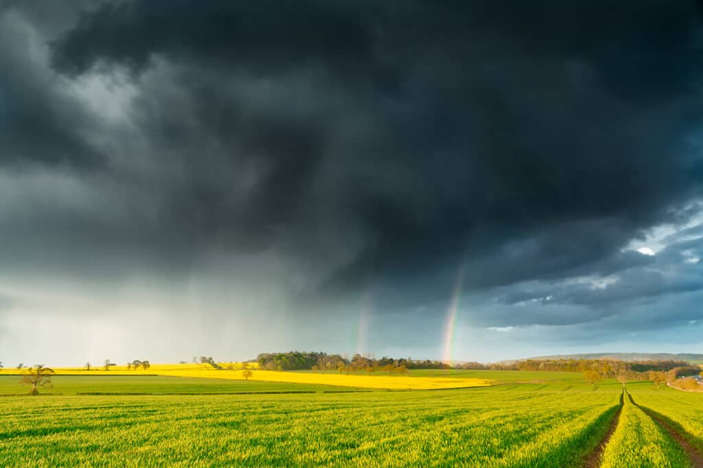 blog-storm